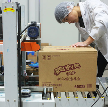 亿滋 食品类客户案例 亿滋 食品类客户案例